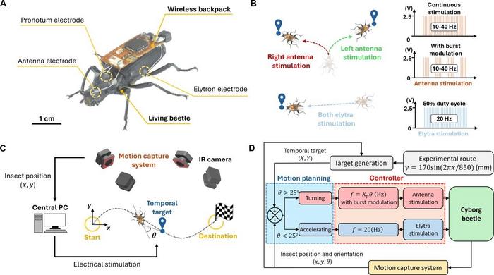 サイボーグ昆虫の自律航行制御システムの詳細図解