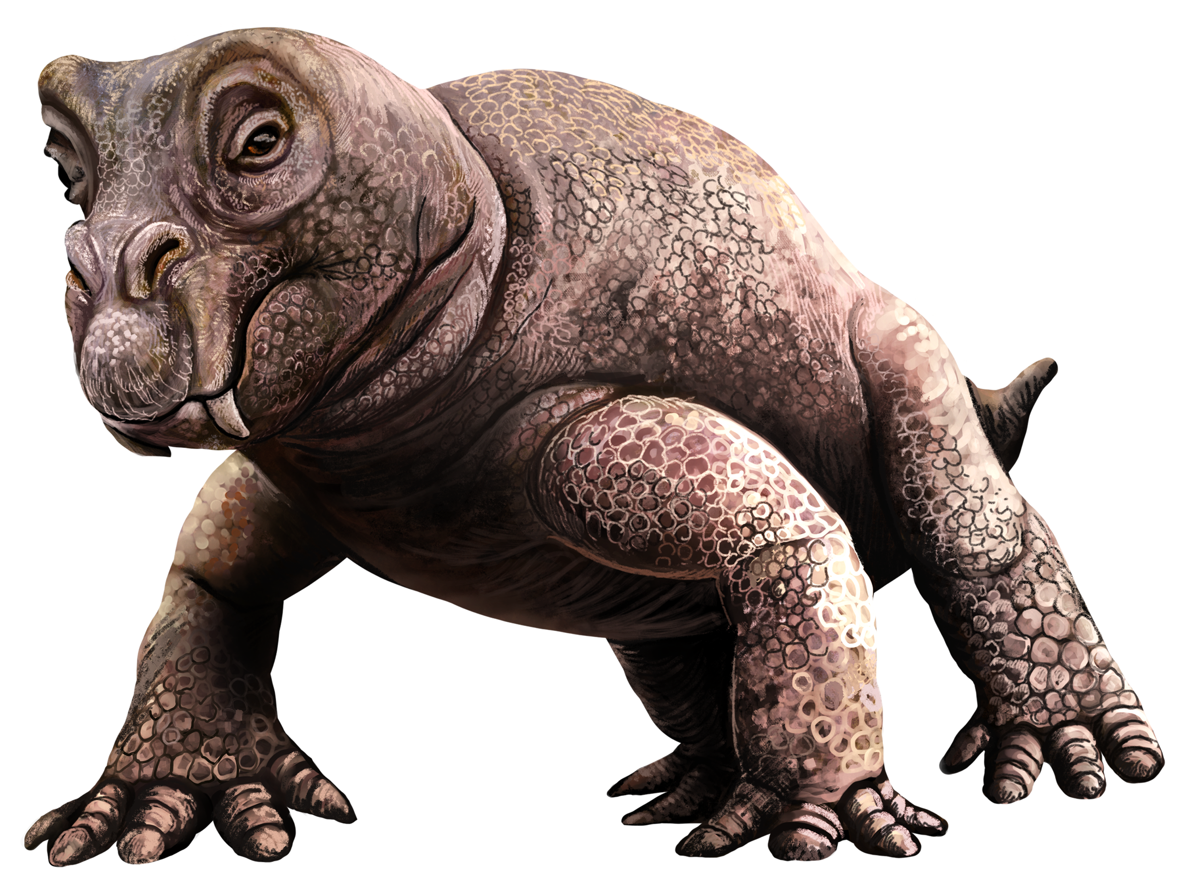 ディキノドン類リストロサウルスの生体復元図